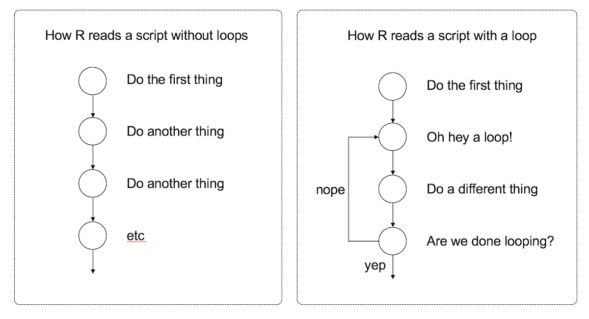 What is a Loop?